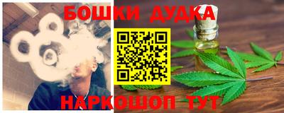 индика Ливны