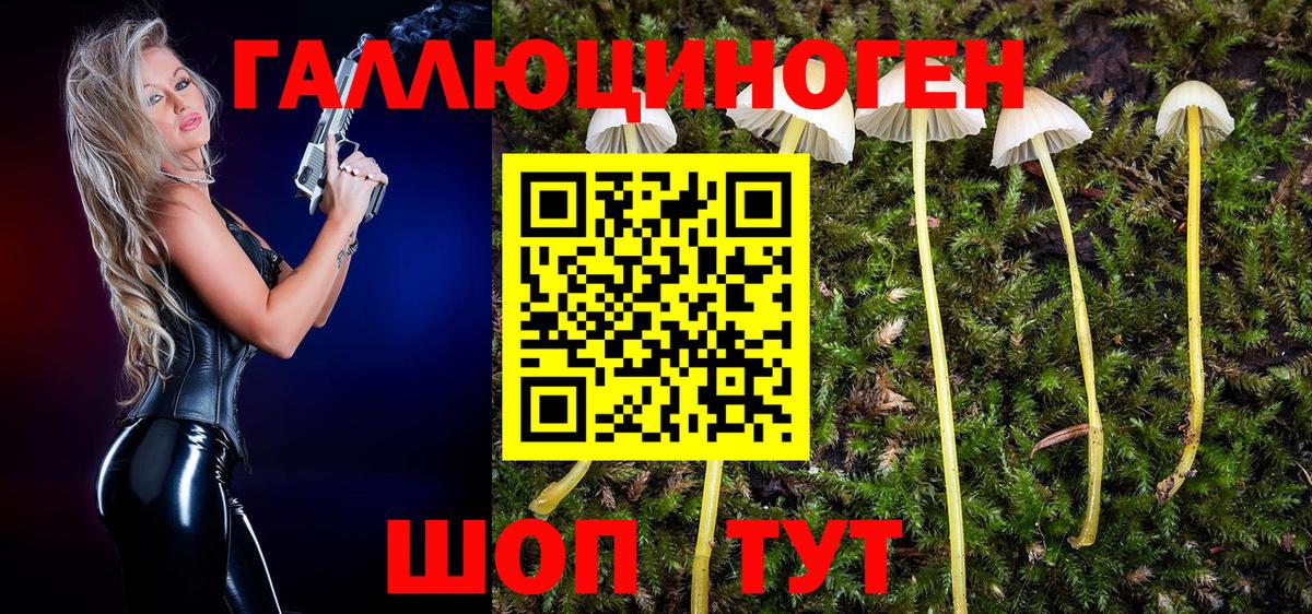 где продают   Вход с VPN  Чистополь  Псилоцибиновые грибы Magic Shrooms 